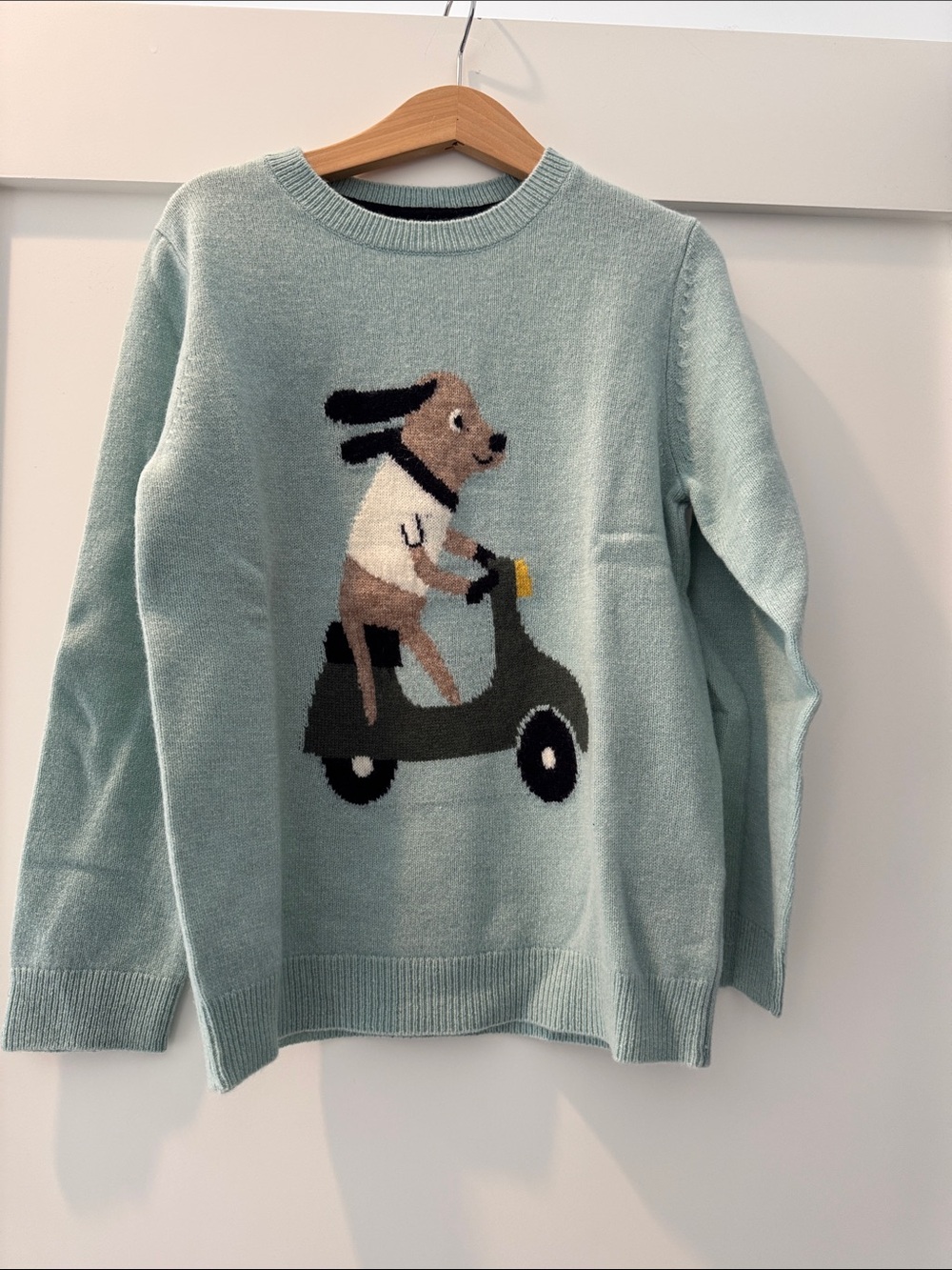 Kids Light Blue Sweater with Scooter Dog Graphic
